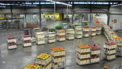 新農(nóng)村 新征程 新發(fā)展|如何推動農(nóng)產(chǎn)品物流與供應(yīng)鏈的變革?